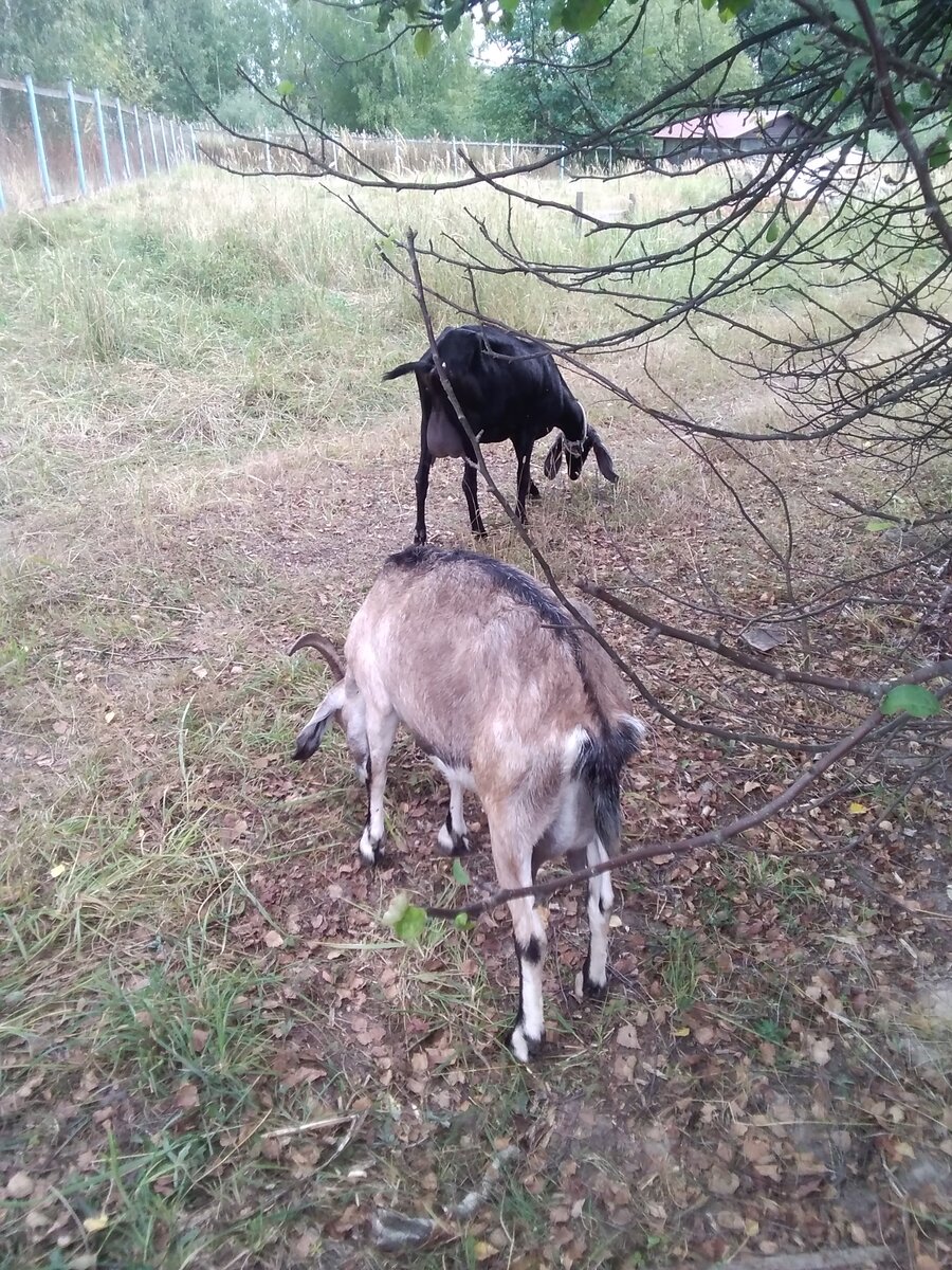 Фото автора. 