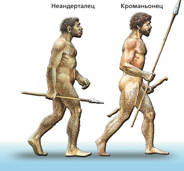 Неандертальцы предки кроманьонцев. Хомо сапиенс кроманьонец. Неандерталец и хомо сапиенс. Неандерталец хомосапиянс.
