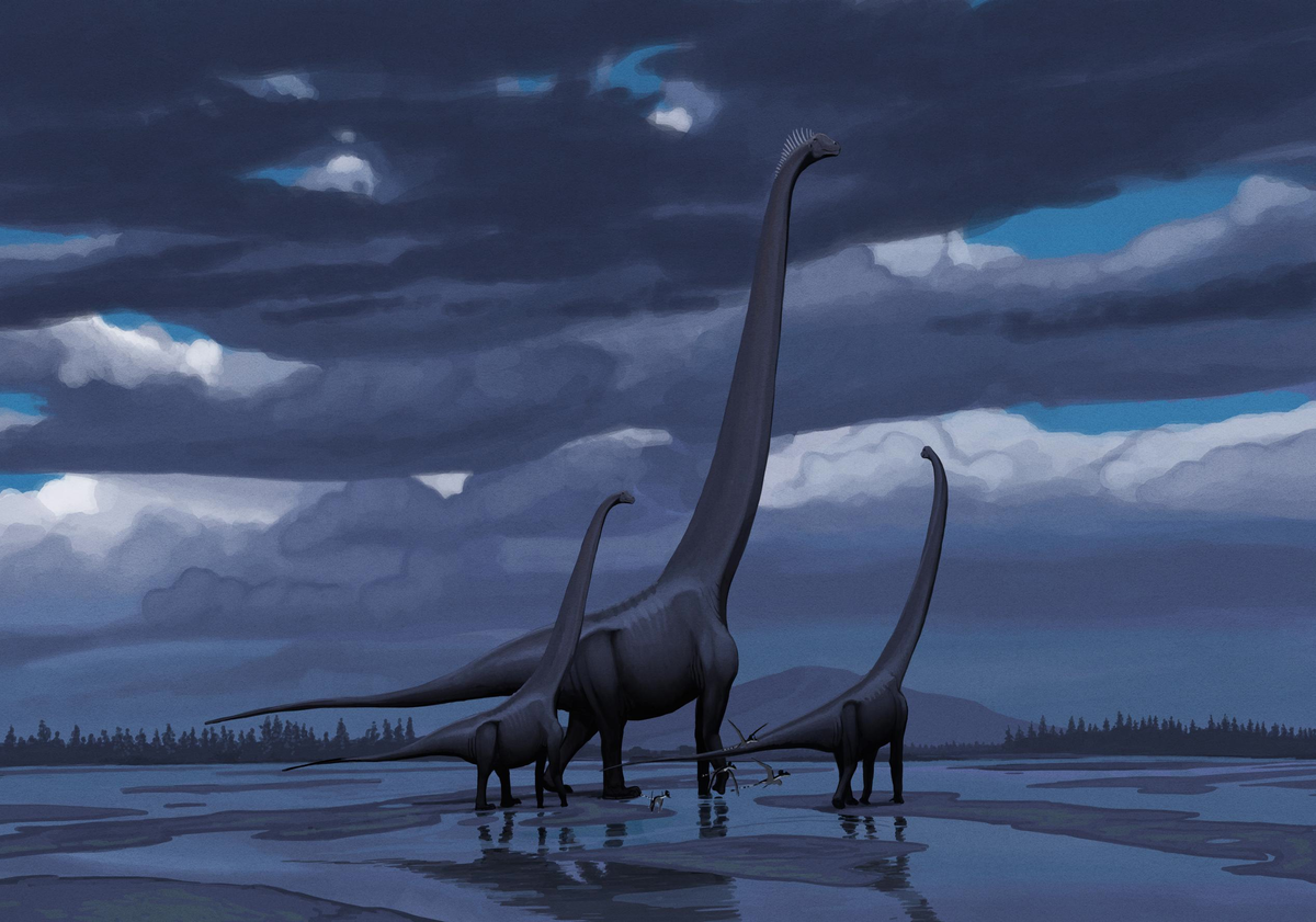 Маменчизавр за авторством Джона Конвея