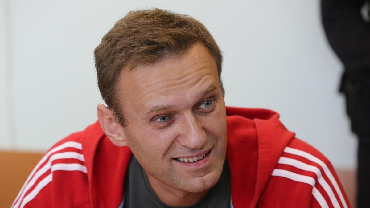    Алексей Навальный:Andrey Rudakov/Bloomberg via Getty Images