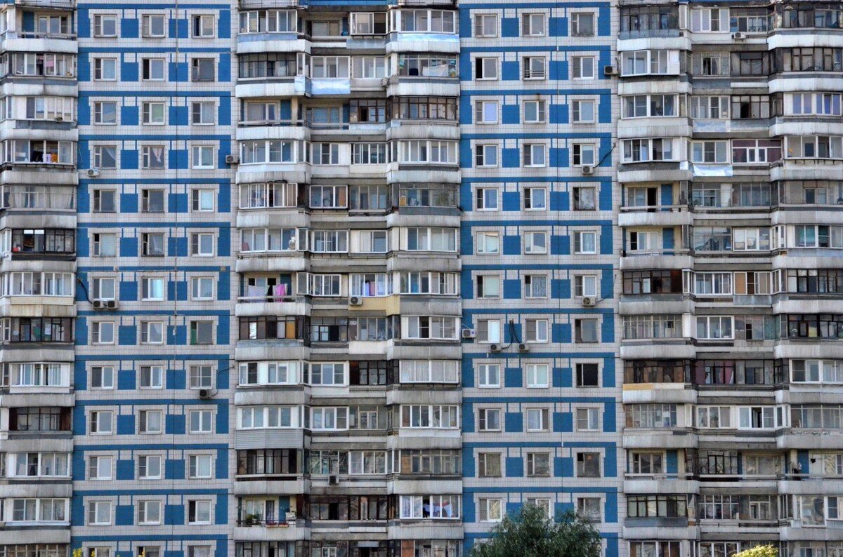    Фото: Анна Быкова / Вечерняя Москва