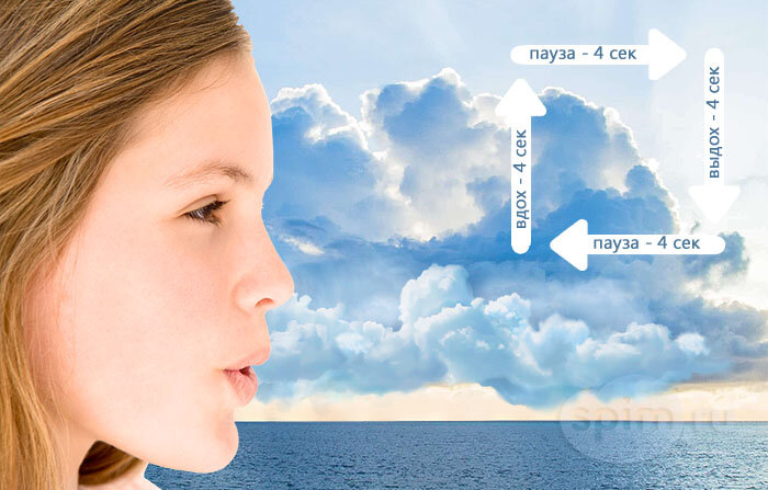 Изображение взято из открытых источников в интернете