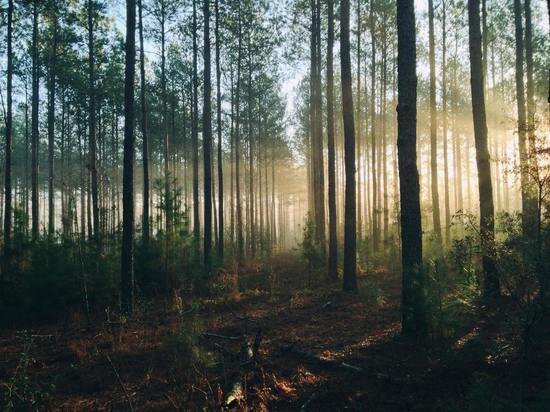     ФОТО UNSPLASH.COM