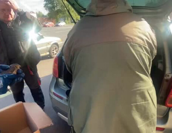     Видео: Пресс-служба Северо-Западного Управления Росприроднадзора