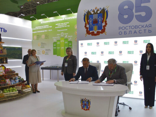    // Фото: donland.ru