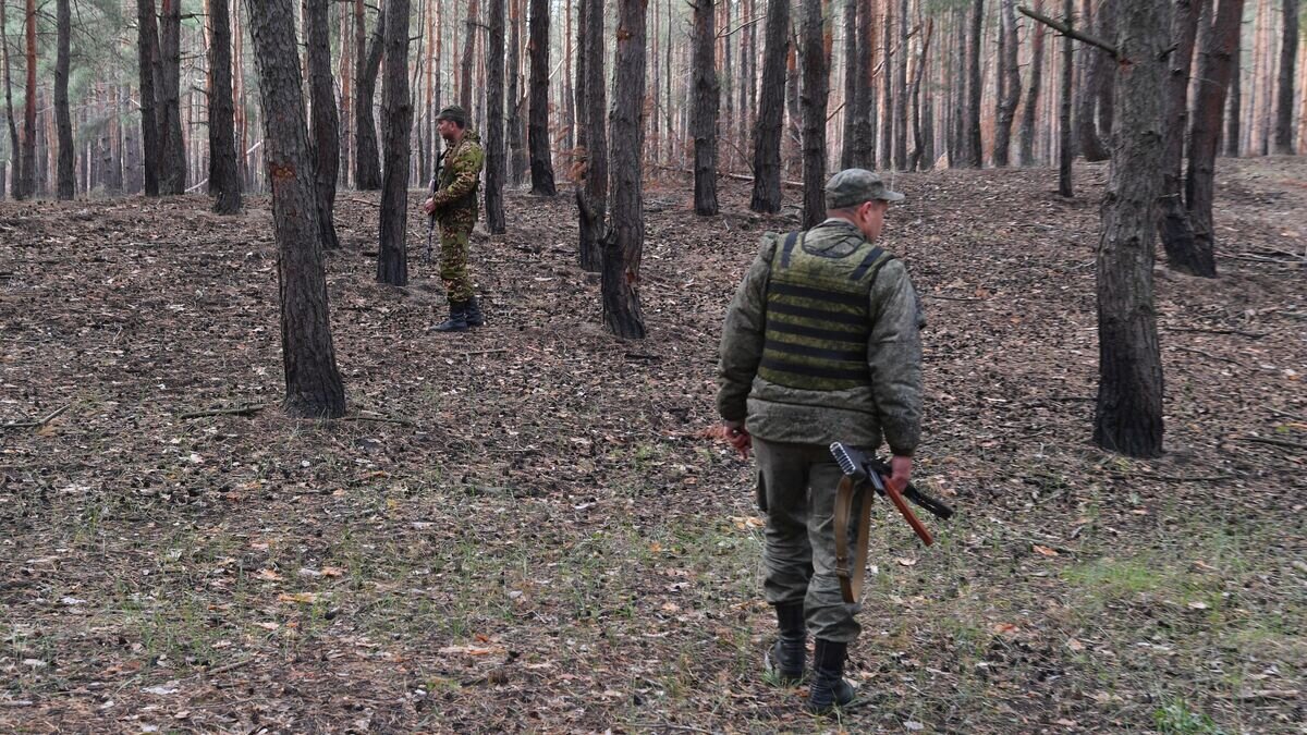    Бойцы казачьего полка Народной милиции ЛНР возле позиций в лесу на окраинах Красного Лимана в ДНР© РИА Новости / Виктор Антонюк
