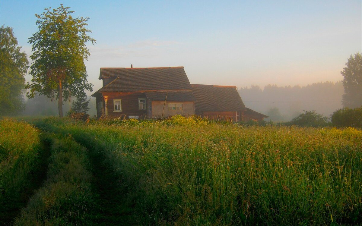 Яндекс.Картинки