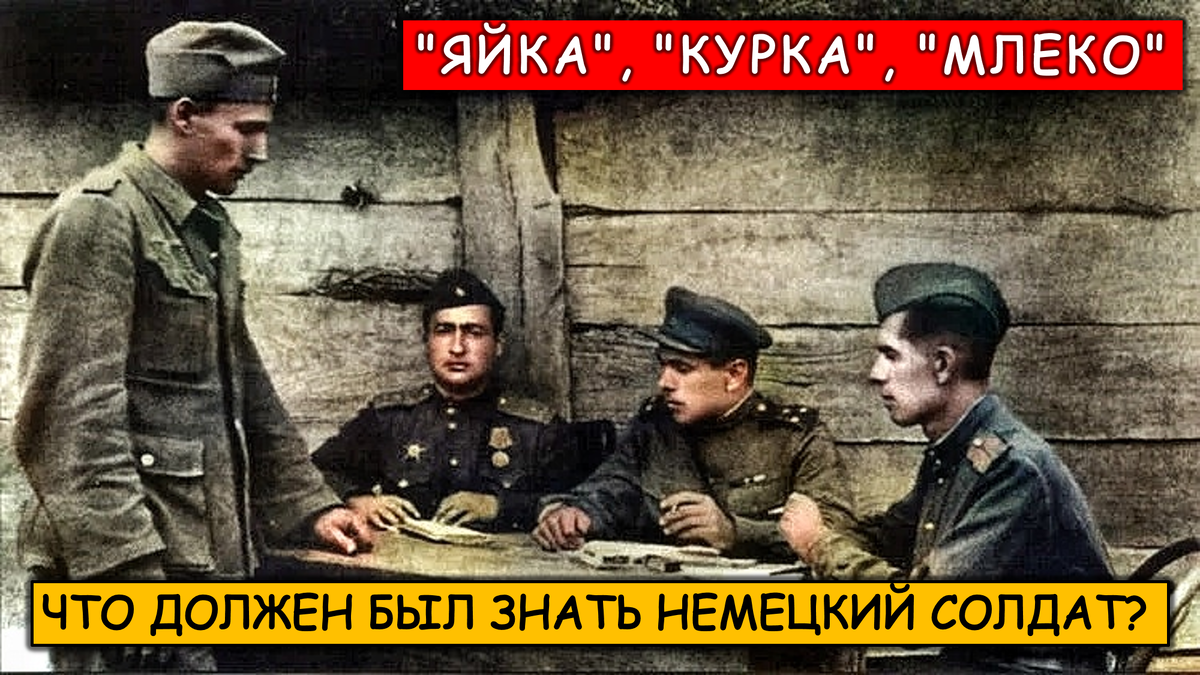 Источник фото: яндекс картинки (восстановлено и обработано автором)    