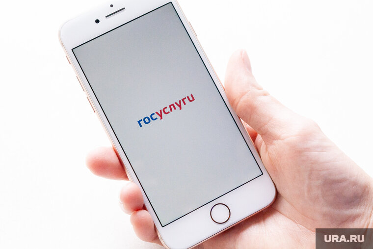    В Минцифры сообщили о доработанной форме на «Госуслугах»