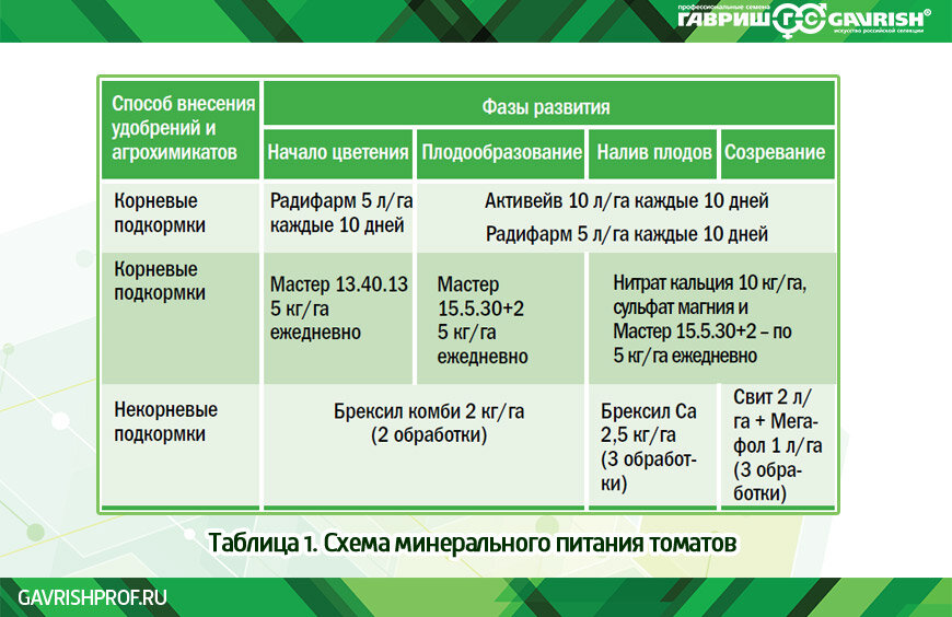 Удобрения при высадке помидоров в теплицу