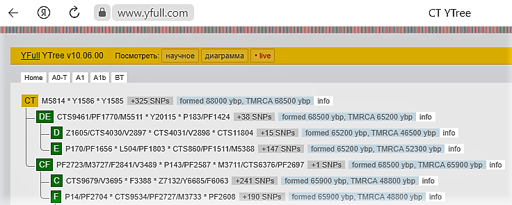 С сайта https://www.yfull.com/tree/
