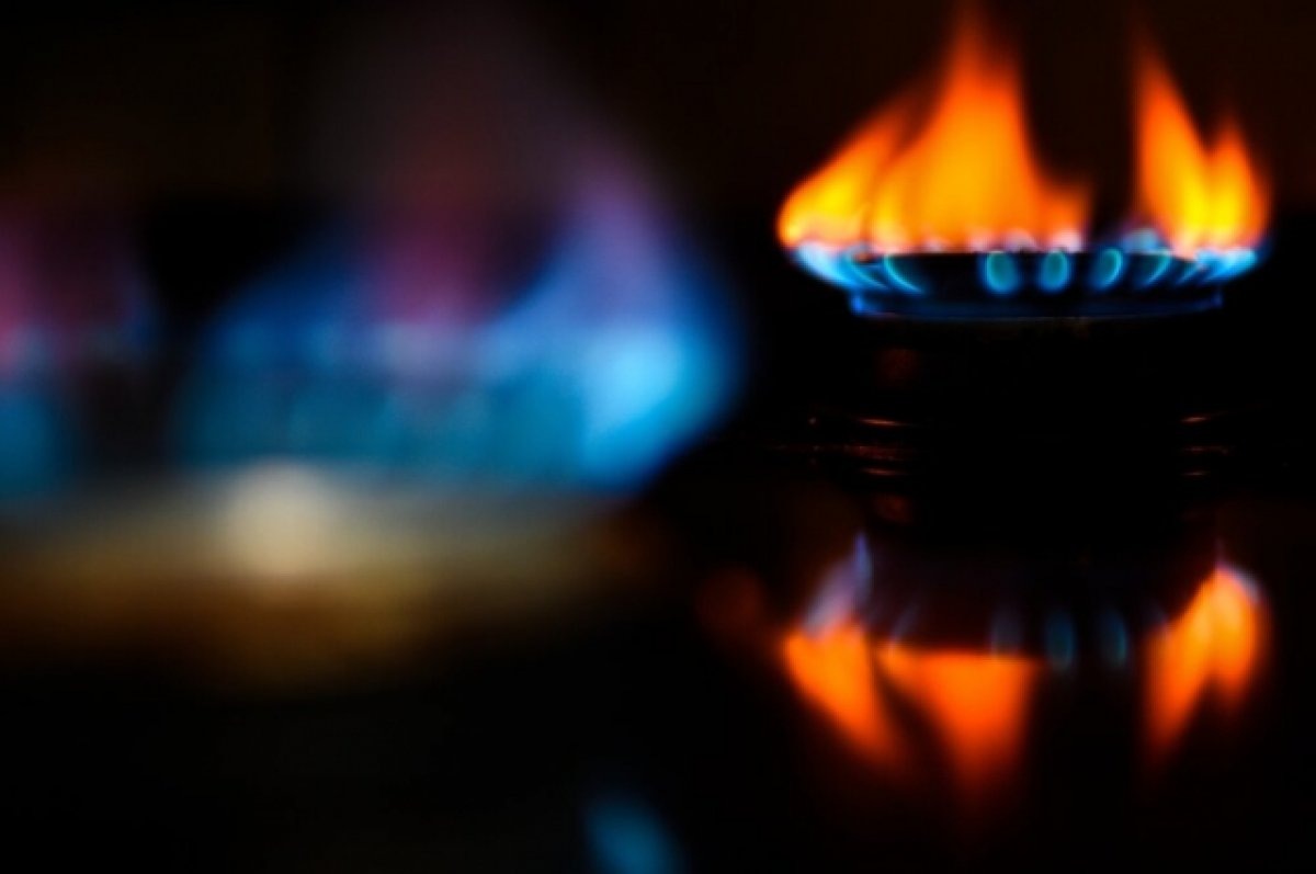    Экономист объяснил резкое падение стоимости газа в Европе