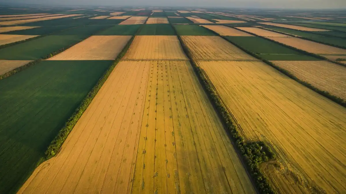 Фото:yaplakal.com    Ольга МОЖЕЙКО, «ГлавАгроном»