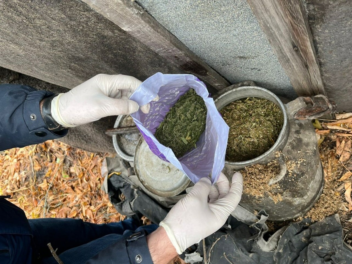  📷    У ранее судимого жителя Кувандыкского округа изъято более восьми килограммов наркотиков Марина Шарт