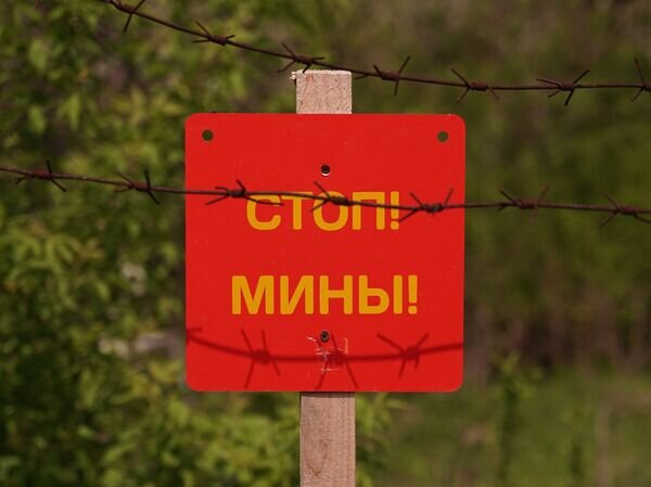   © РИА Новости Максим Захаров