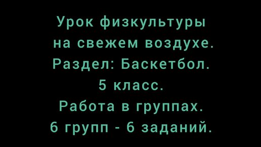 Круговой метод выполнения заданий/ Баскетбол в школе