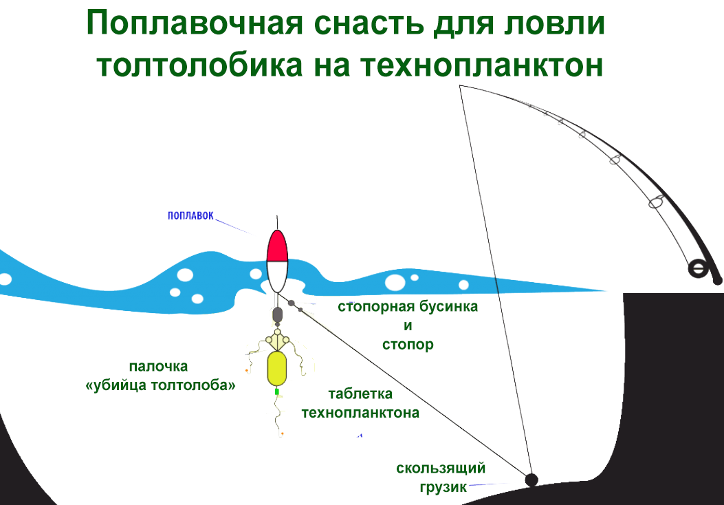 Донные снасти на толстолобика.