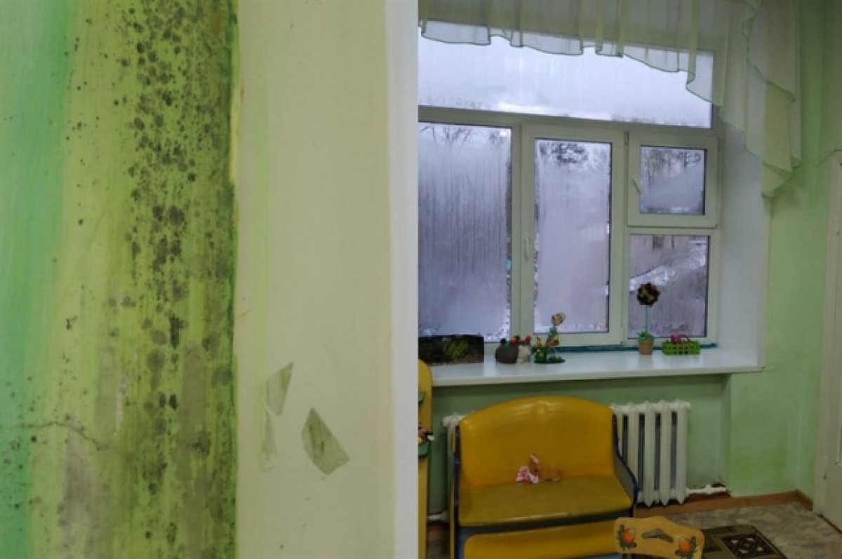    Жителей Германии предупредили о болезнях из-за плесени в их домах