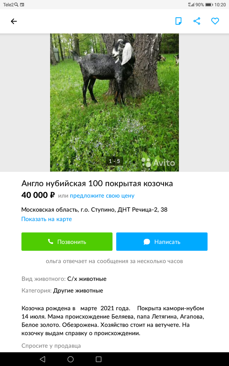 Фото никакого отношения к статье не имеет! 