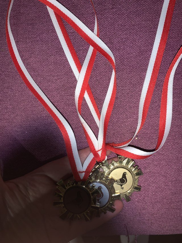 Фото: архив автора