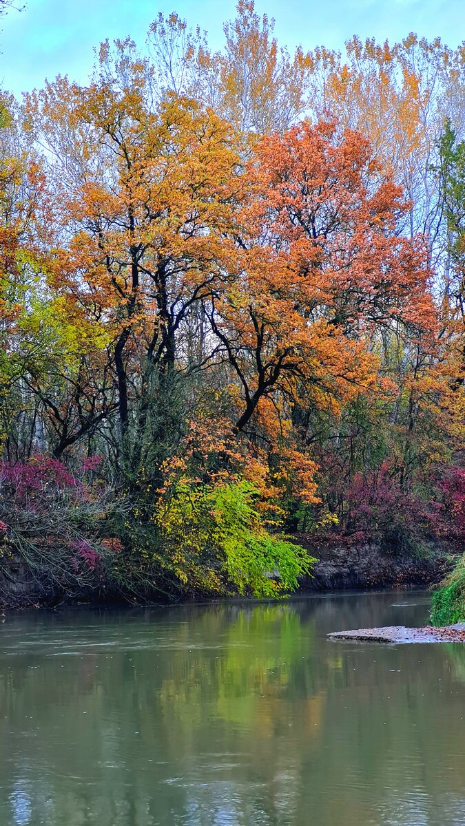 Река Кума возле с. Нины, Советский район, Ставропольский край.