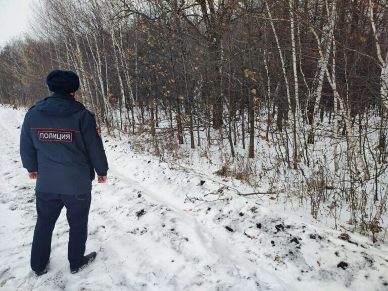    В Бугурусланском районе задержали браконьера за отстрел трех косуль Елена Шкатова