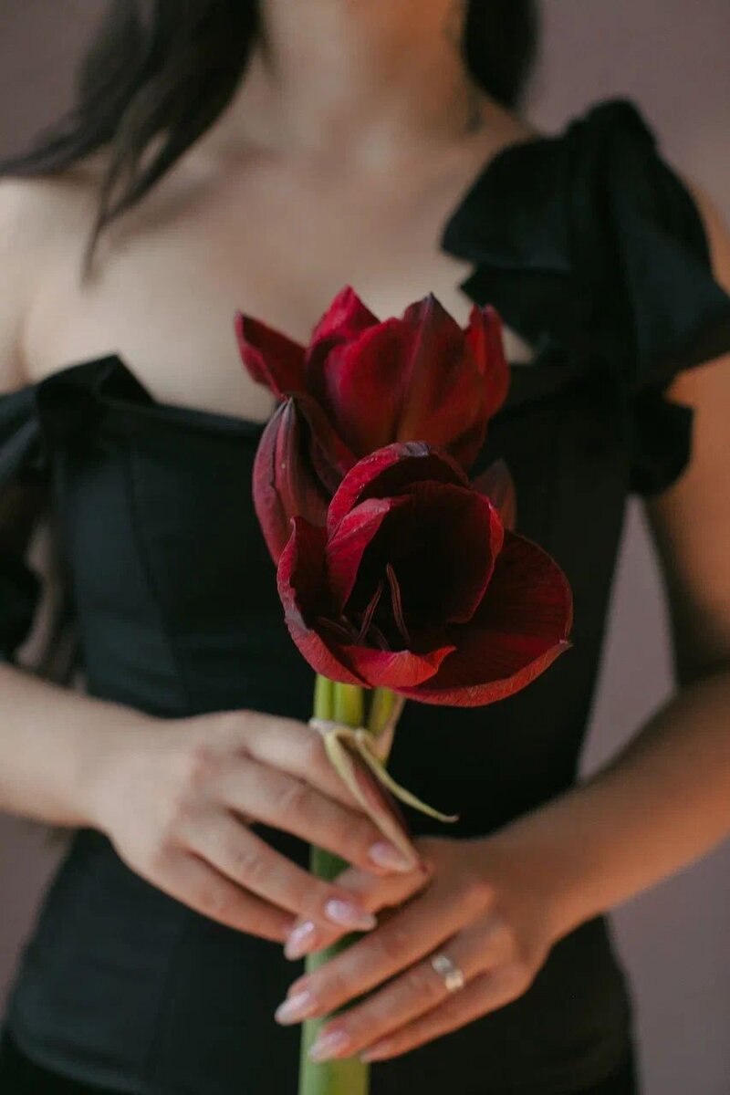 Амариллис Ferrari