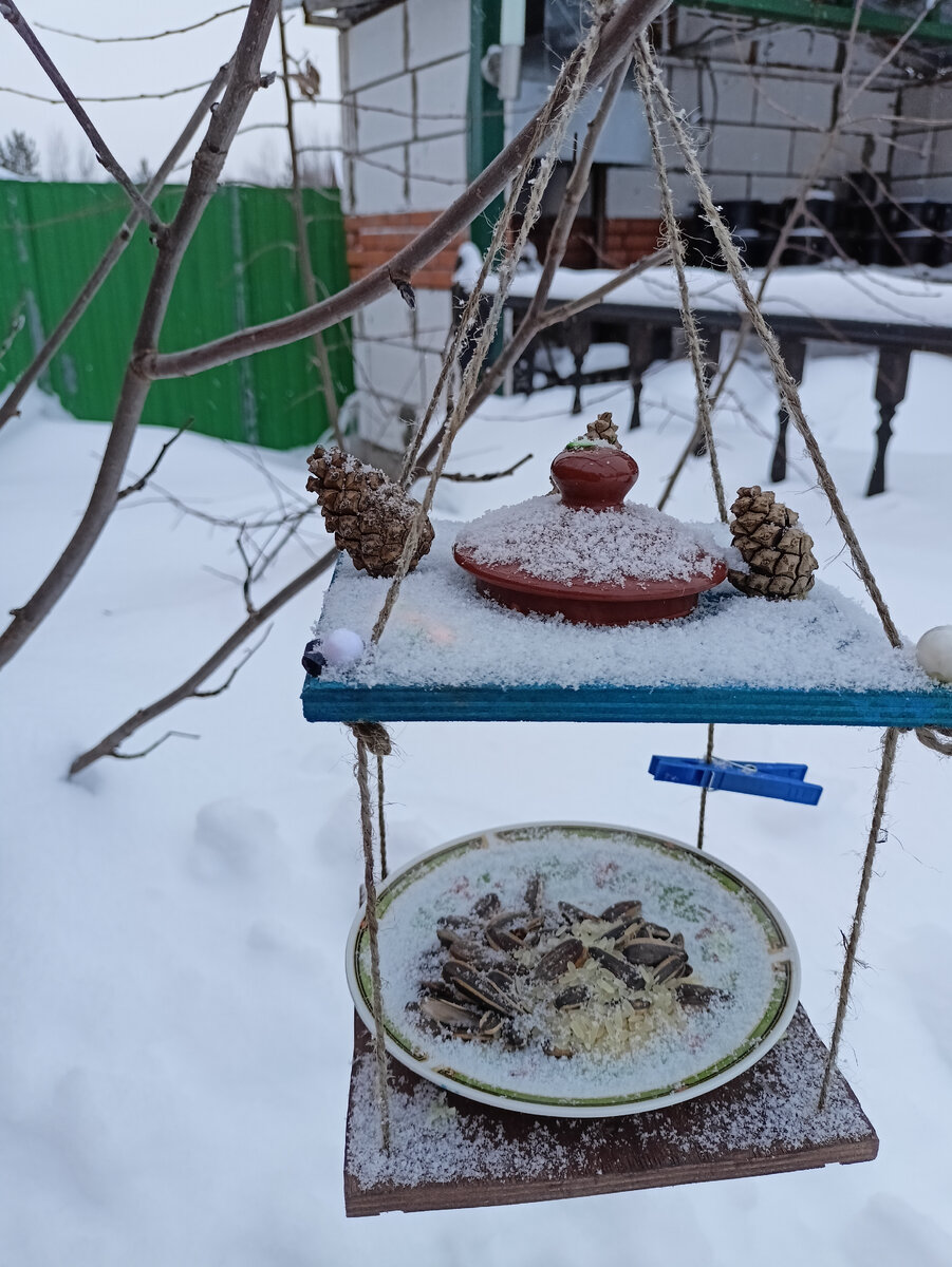 Птицы ещё не обнаружили корм. Так и стоит со вчерашнего дня, ещё и снегом припорошило.