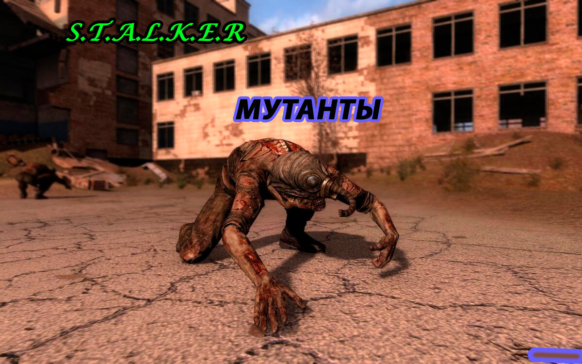 Все мутанты в трилогии S.T.A.L.K.E.R. | Обо всем, об этом... | Дзен