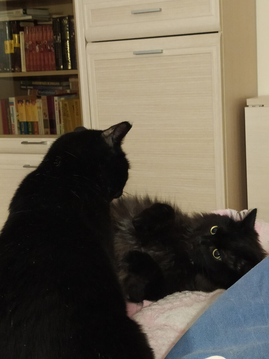 Может, поиграем?