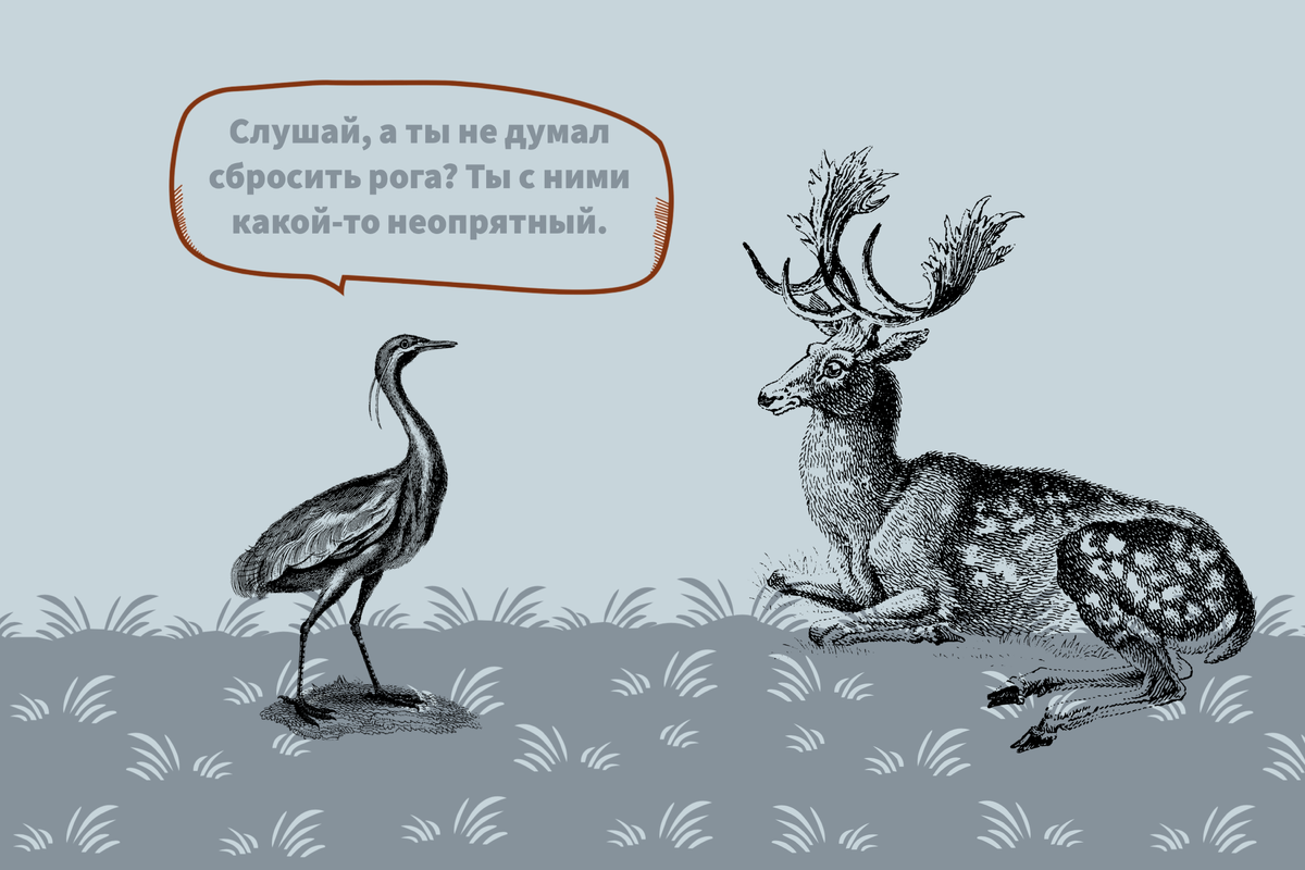А ведь иногда нас могут пытаться стыдить и за то, чем мы могли бы гордиться, верно?  