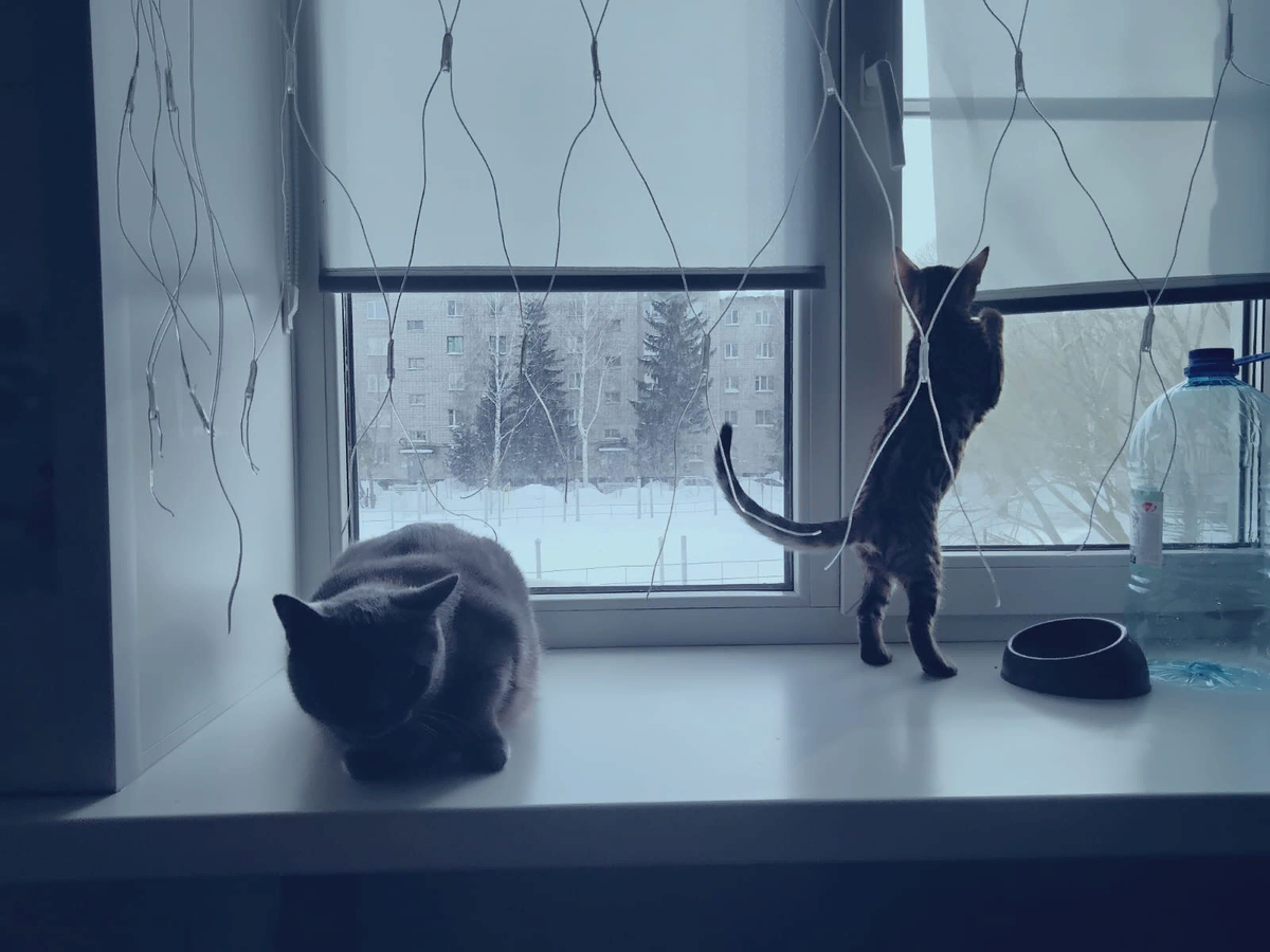 Фото из личного архива