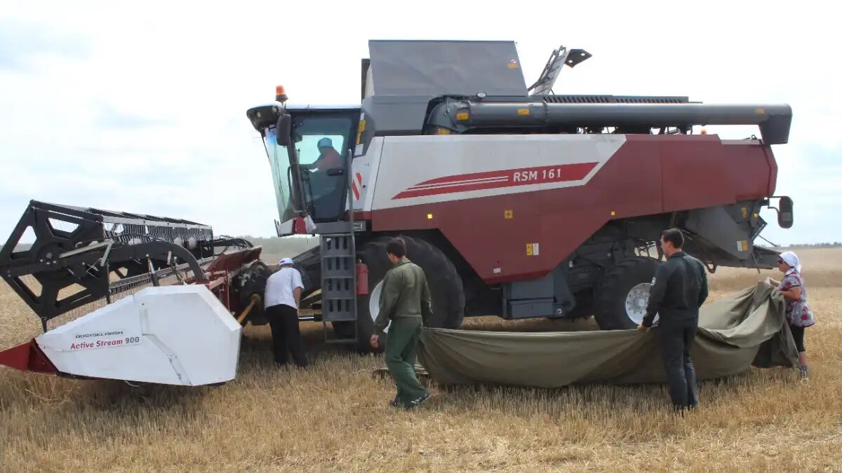 Фото: glavpahar.ru Испытания зерноуборочного комбайна RSM 161 на базе Центрально-Черноземной МИС