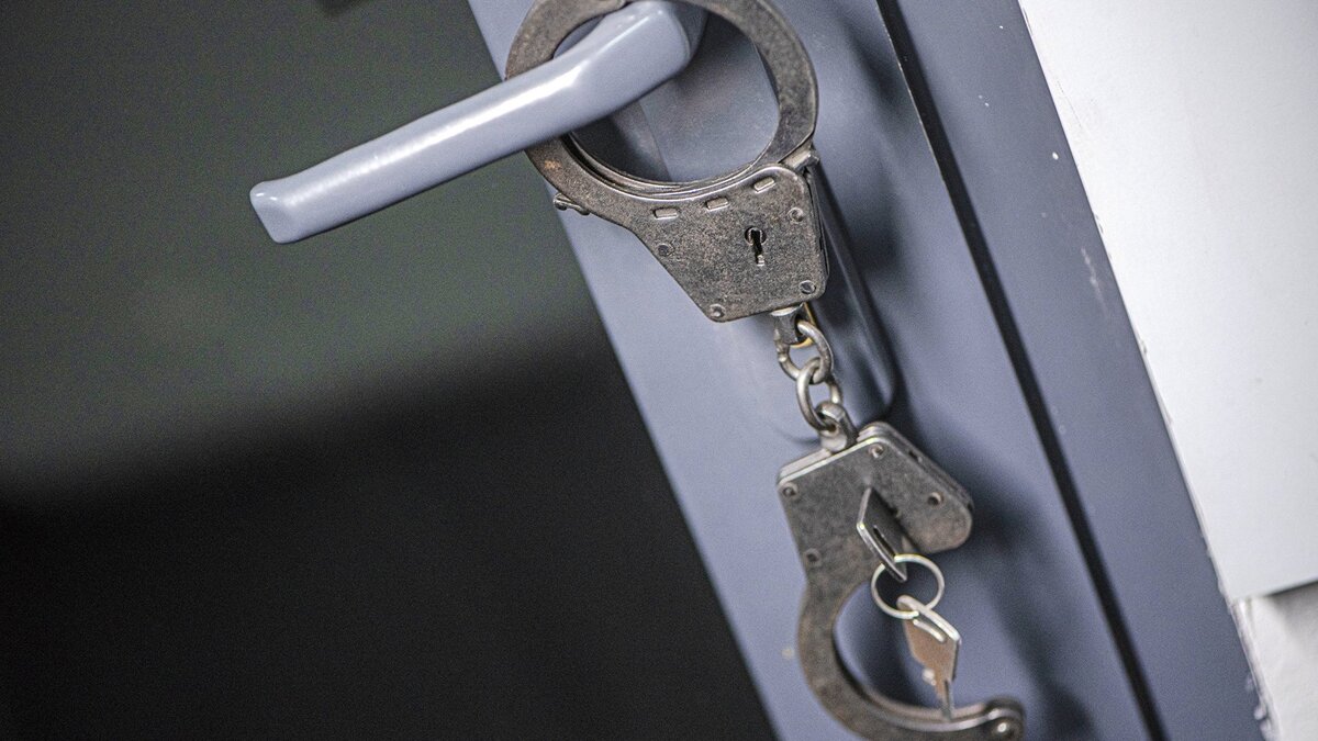    Наручники© Sputnik