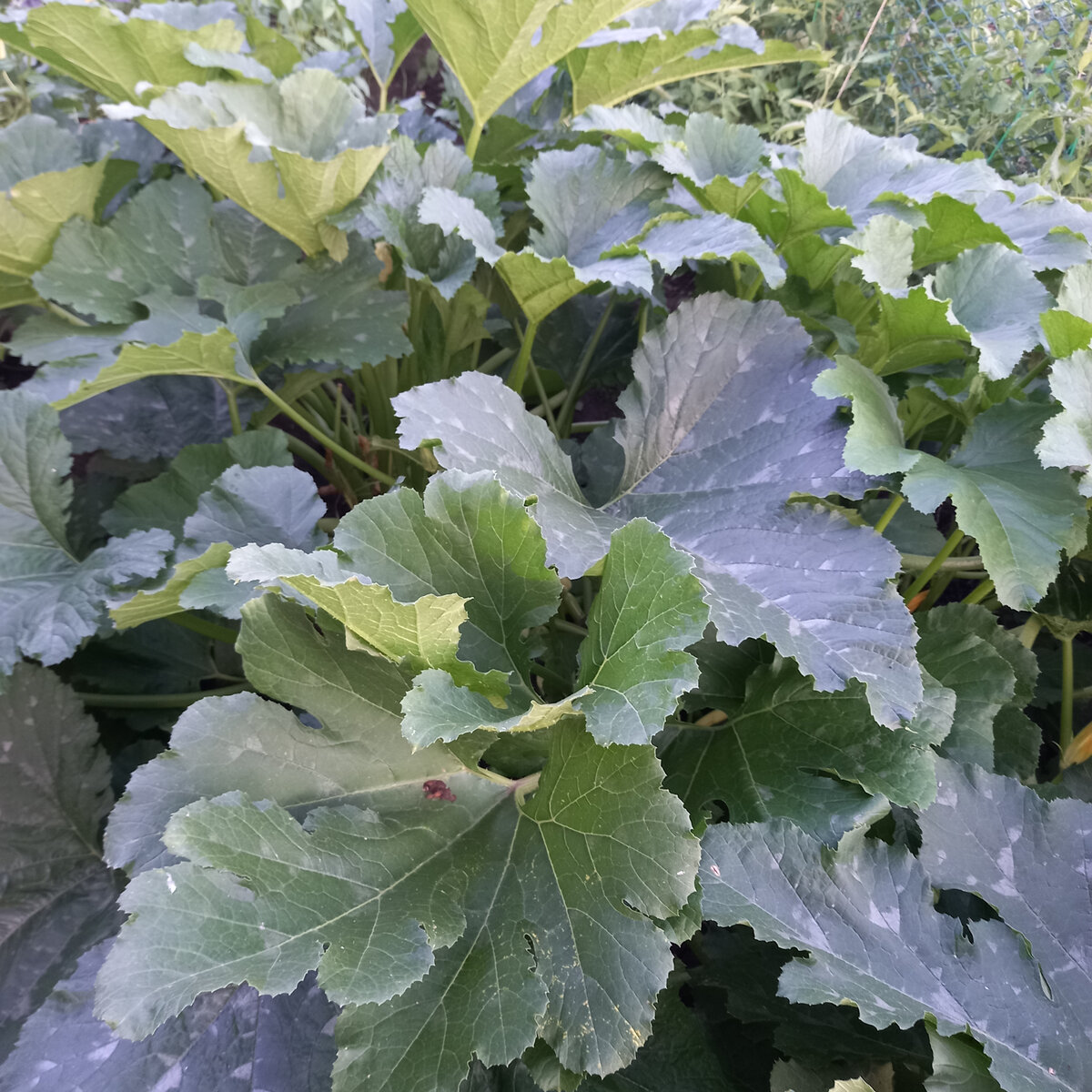 Все фото в тексте - автора