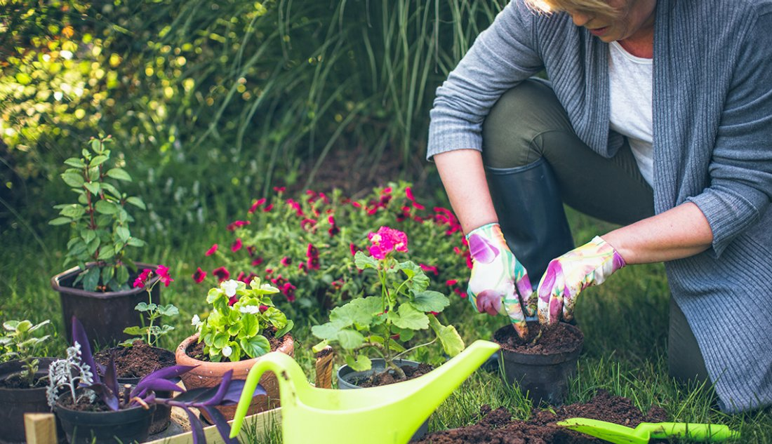 Простые 6 способов помогли мне с садовыми хлопотами