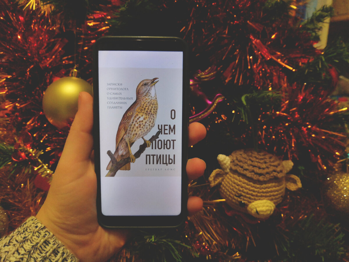 "О чем поют птицы" Грегуар Лоис