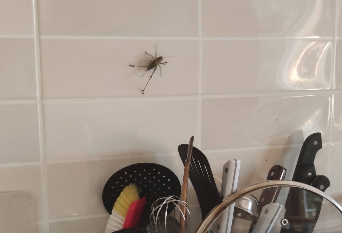 Это утро даже не собиралось начинаться с кофе...