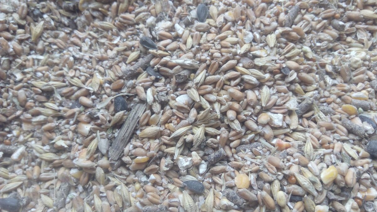 Магазинная зерносмесь