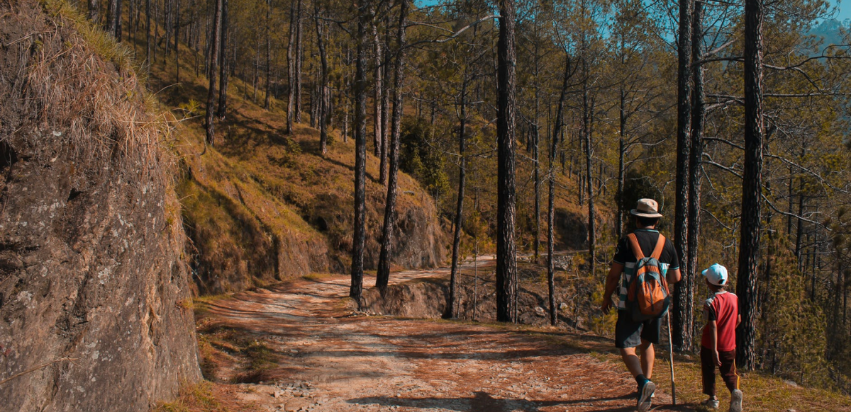 Pexels Photo by Yogendra Singh