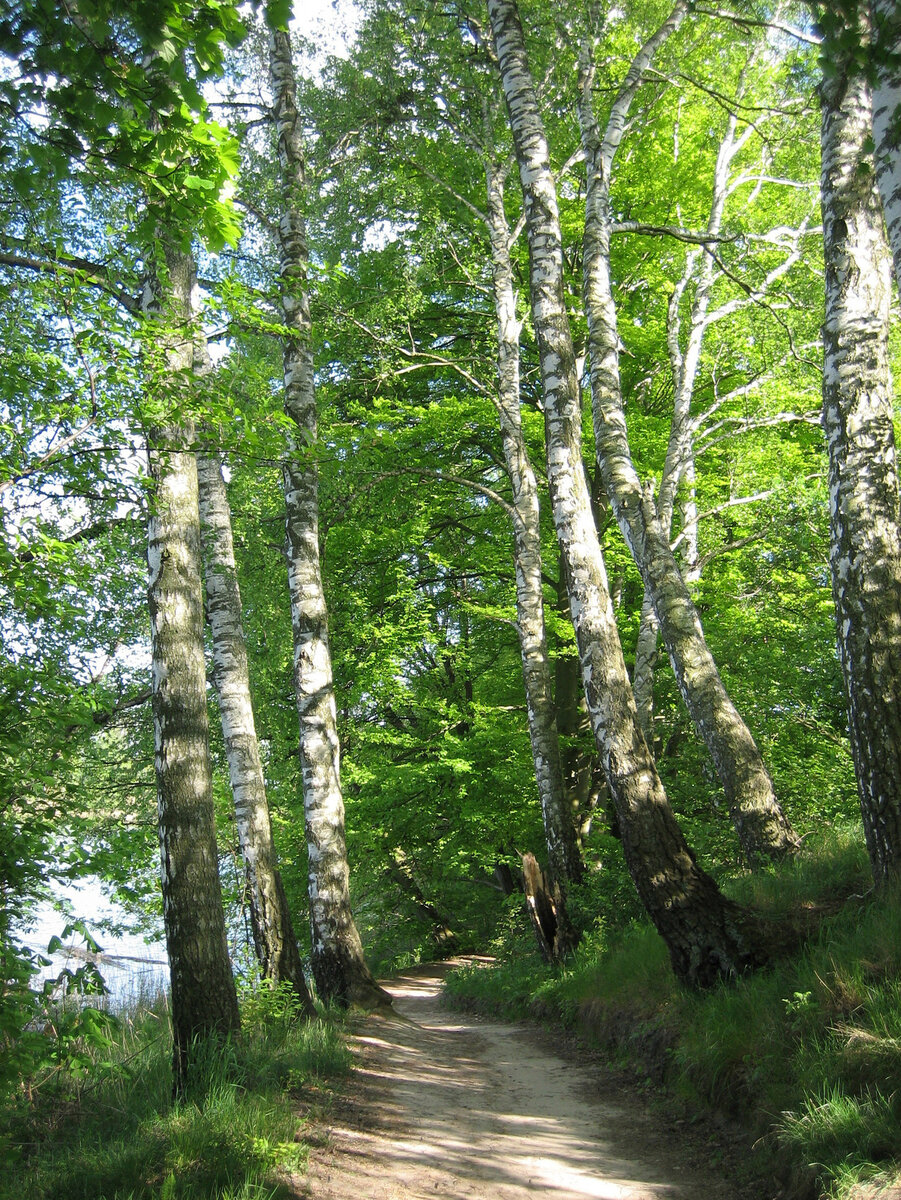 Фото: freeimages.com Rafał Grzejszczyk