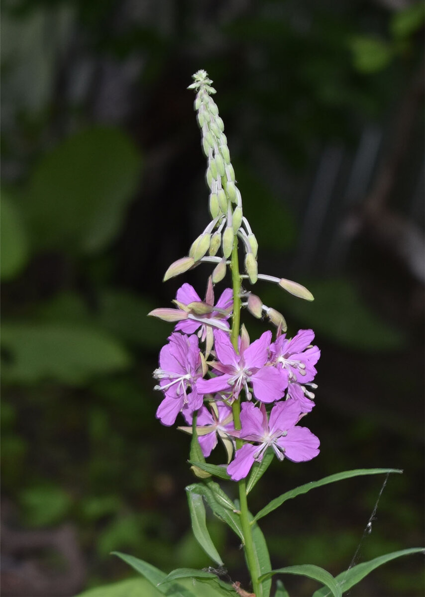 фото из личного архива