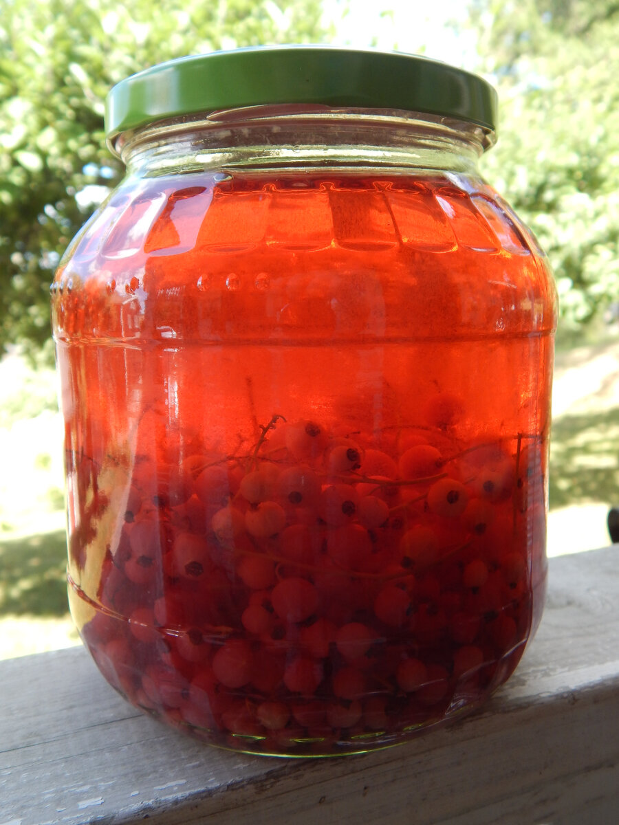 Компот из красной смородины.