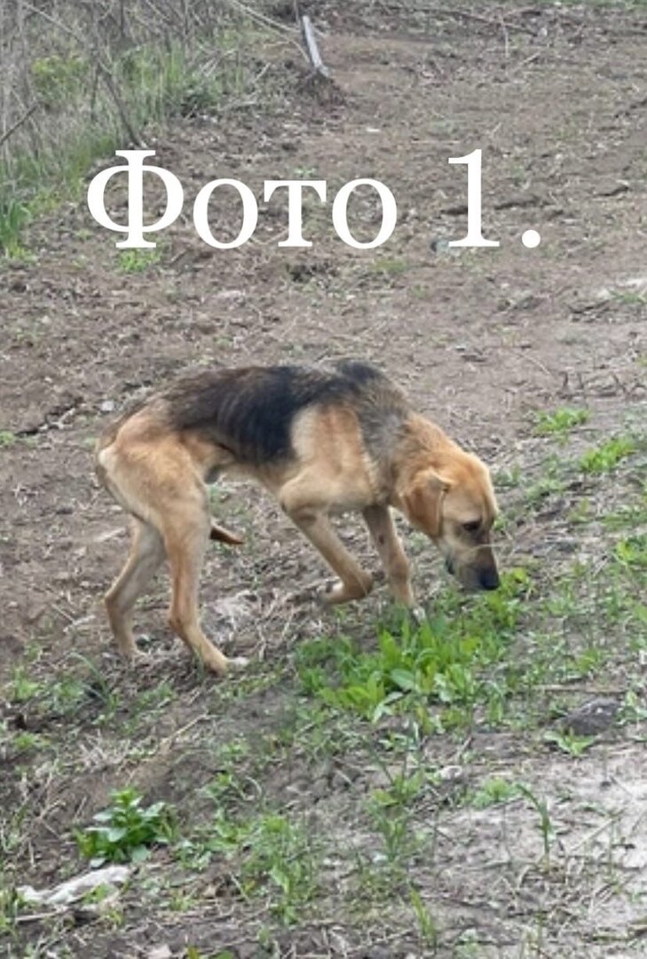 Вот эта фотография...