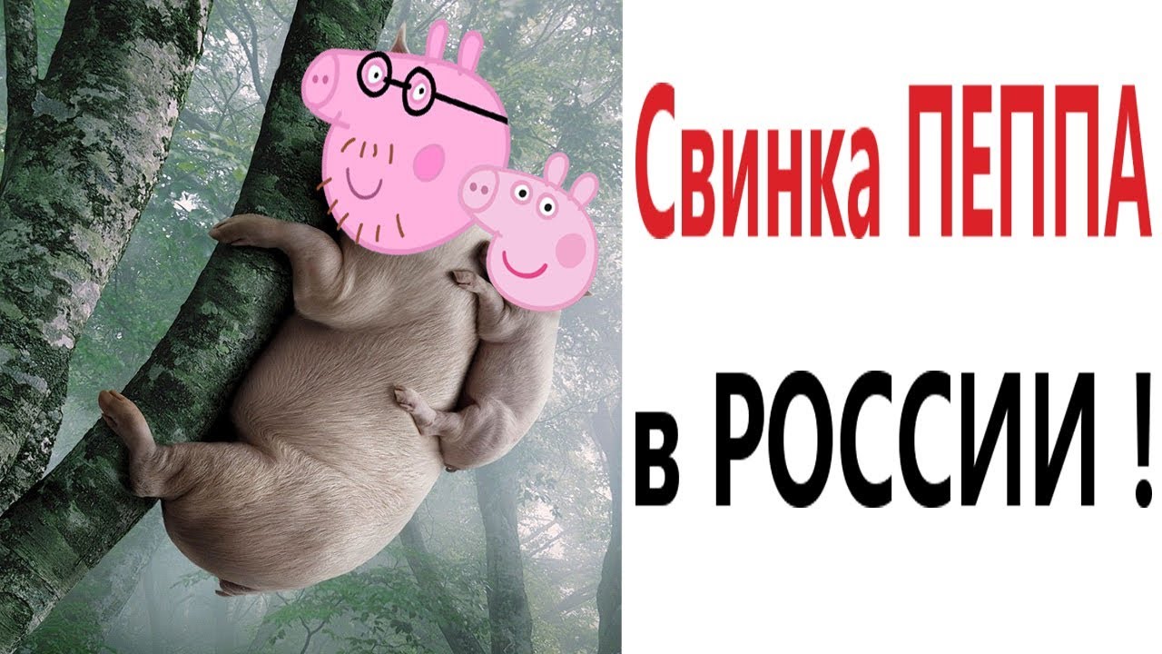 Лютые приколы. СВИНКА ПЕППА В РОССИИ!!! Попробуй не засмеяться! Самое  смешное видео! – Domi Show!