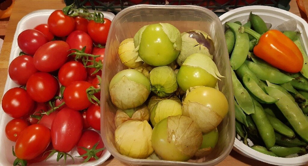 Томаты, физалис, горох