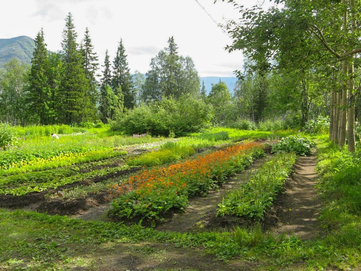 (c) Татьяна Другова/ПАБСИ