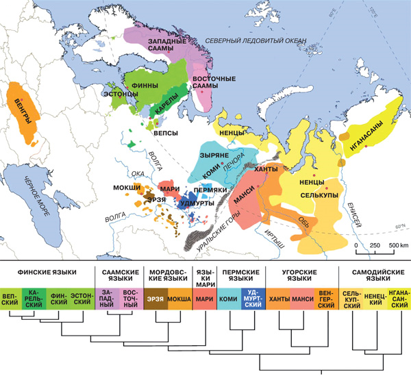 Уральские языки. Карта Уральской языковой семьи. Уральская языковая семья карта. Карта финно-угорских языков. Уральская семья языков.