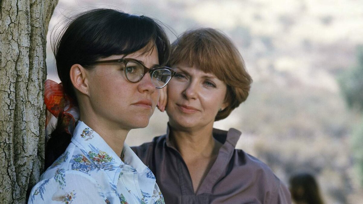 Лично мне талант Салли Филд и образ помогающего психотерапевта, тонко созданный Джоан Вудворд импонирует больше, а также живость и объем сюжета.