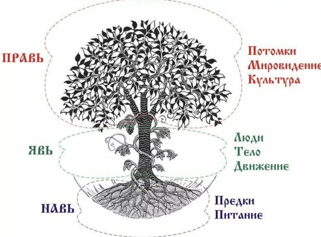 Схема представления мироустройства дрених славян